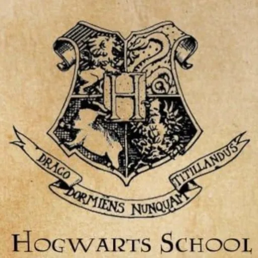 creator Hermione | Y/N's avatar