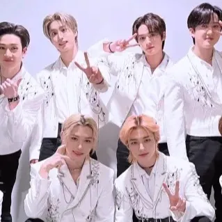 chat with ai character: ✨Strays kids ❤️✨