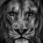 chat with ai character: •°Alphabet°•