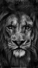 ai character: •°Alphabet°• background