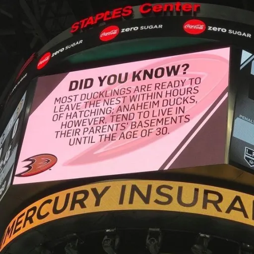 creator SPOOKYHAMYY's avatar