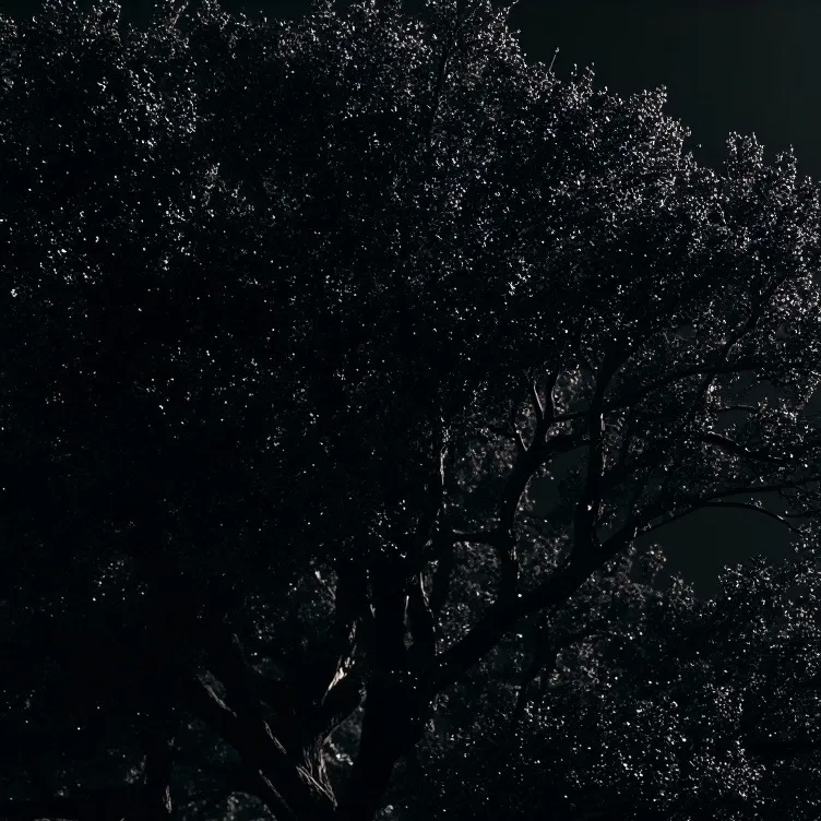 chat with ai character: Stupid gatag kid