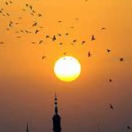 creator labubu funk's avatar