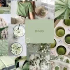 chat with ai character: Sebastian Sallow