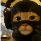 creator ivybelle's avatar