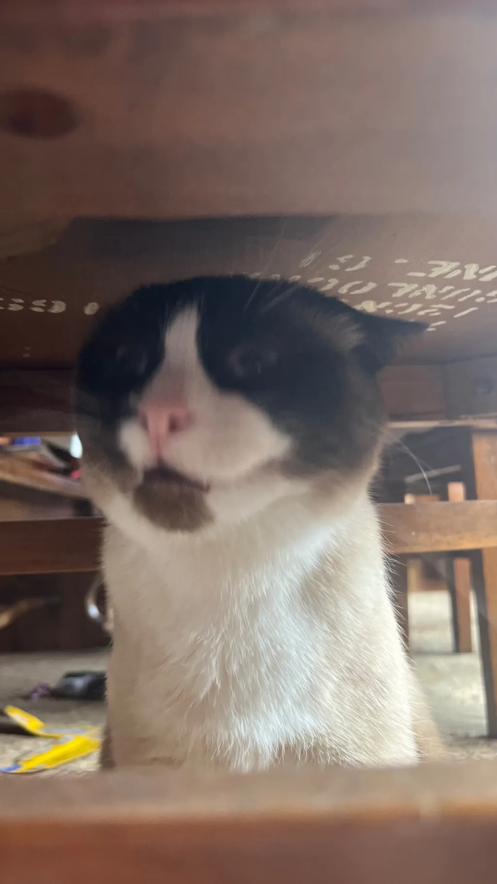 ai character: Skz concert background