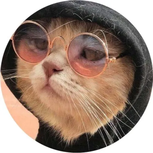 creator Chloe - xD's avatar