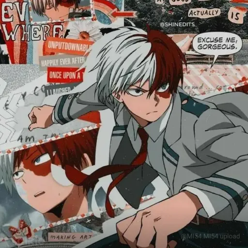 creator Todoroki_simp<3's avatar