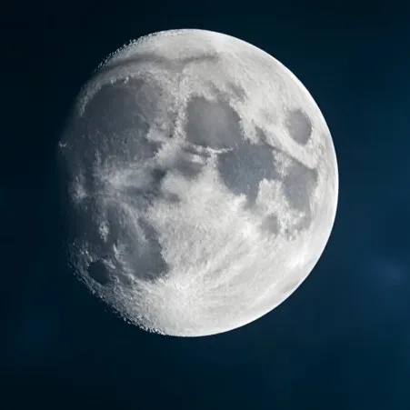 chat with ai character: Girl or boy test 