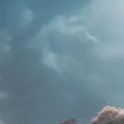 chat with ai character: CRK x dead rails