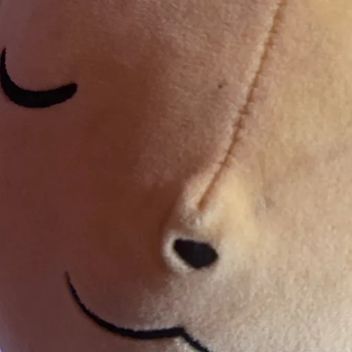 creator LiamgamezFAKE's avatar