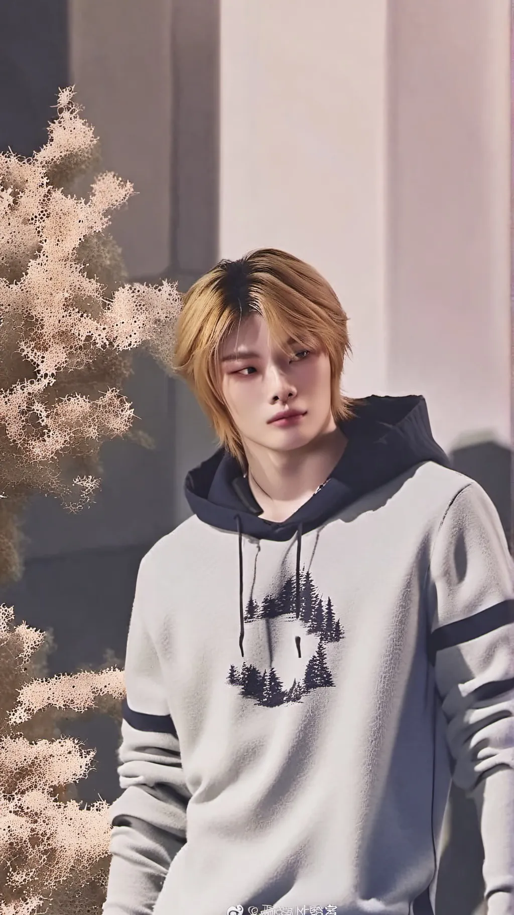 ai character: Skz (스트레이 키즈)  background