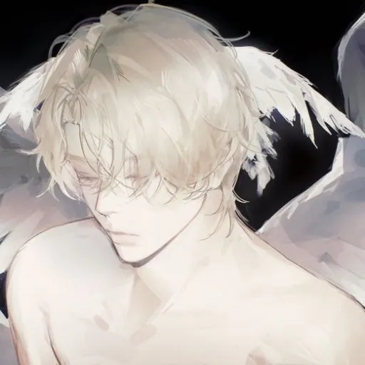 creator $~♤♡◇♧•~$'s avatar