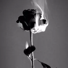 creator Ángel Aya Cuéllar's avatar