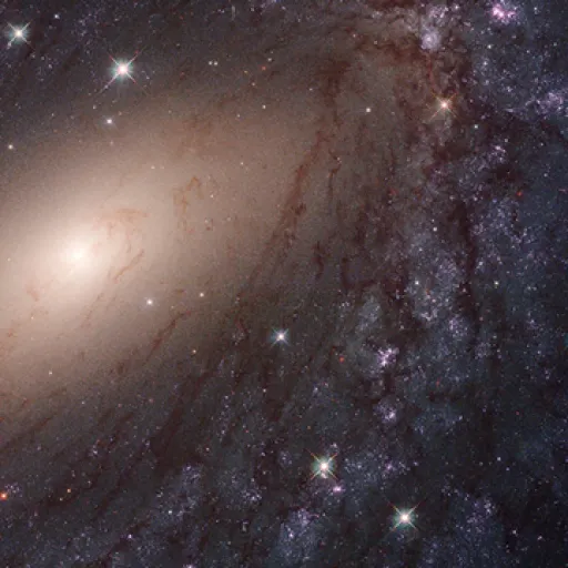 creator galaxy_67's avatar