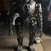 chat with ai character: nosy