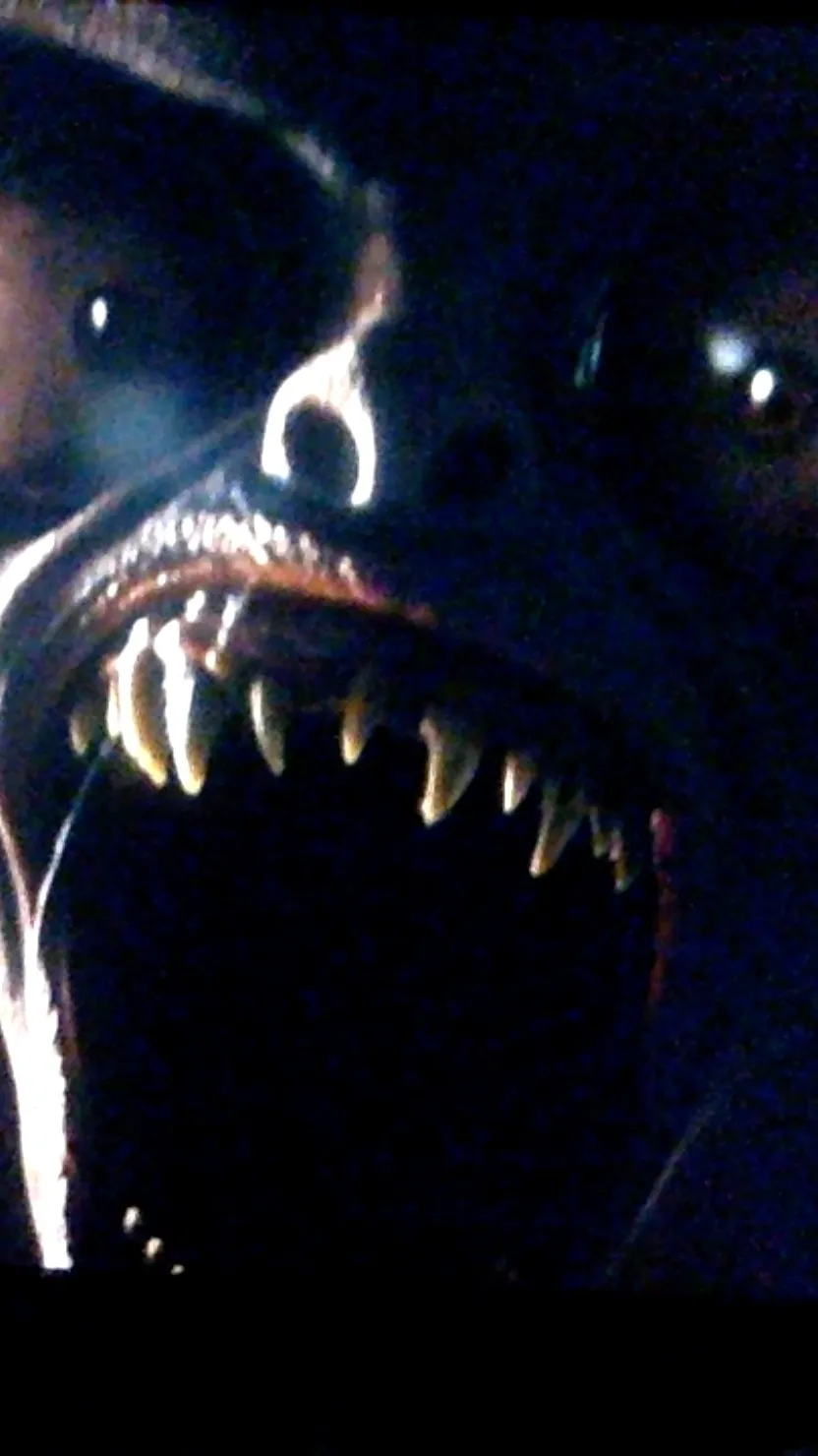 ai character: Tyler galpin background