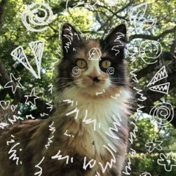 chat with ai character: therian/furry