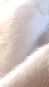 ai character: Orphanage  background