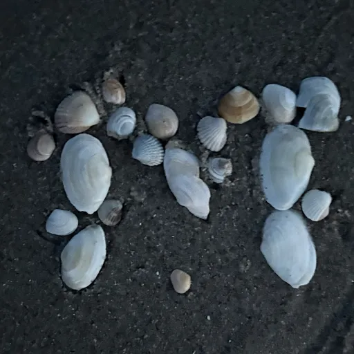 creator Enna Heli's avatar