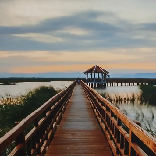 creator 🥇"Dead Rose"🌸(Ash)'s avatar