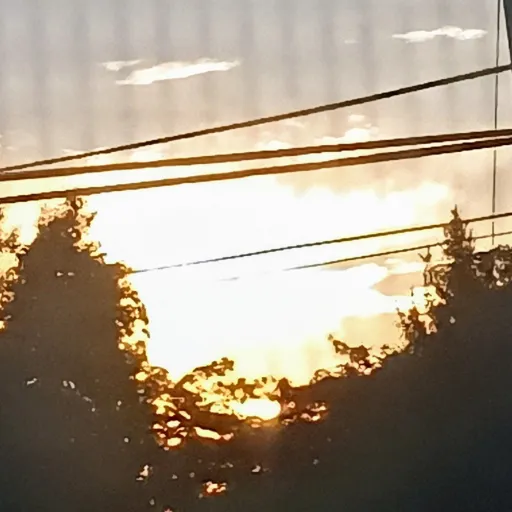 creator Kyle123whyme's avatar