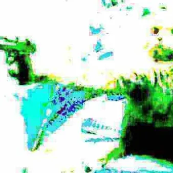 chat with ai character: TalkieYFgSSU