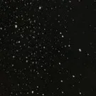 chat with ai character: Redclaw(Jake) 