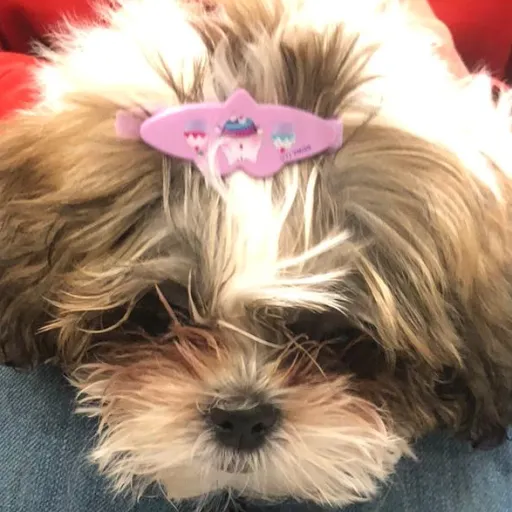 creator Talkior-0ZFB61Ut's avatar