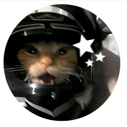 creator 17_Just_noname's avatar