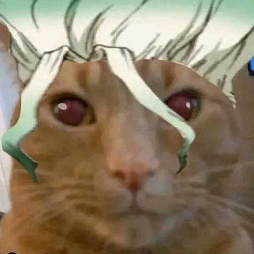 creator Estoycansadojefe's avatar