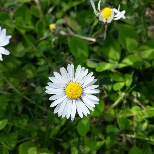 creator Tatie Anna's avatar