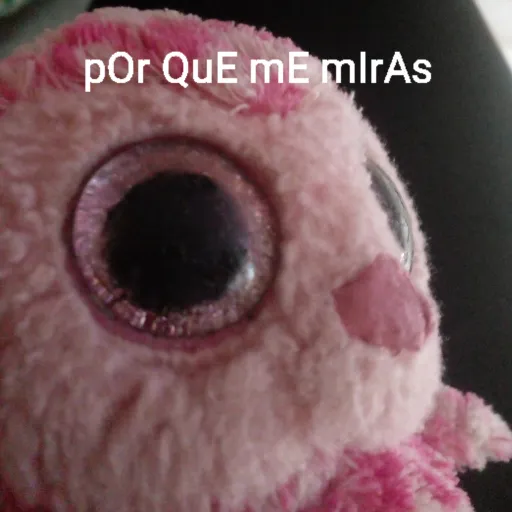 creator Meyris Robrigues's avatar