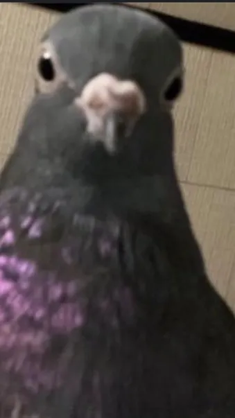 ai character: Stormfrost child   background