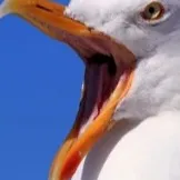 chat with ai character: God Time