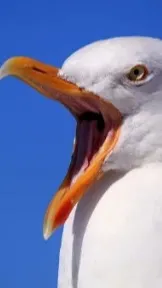 ai character: God Time background