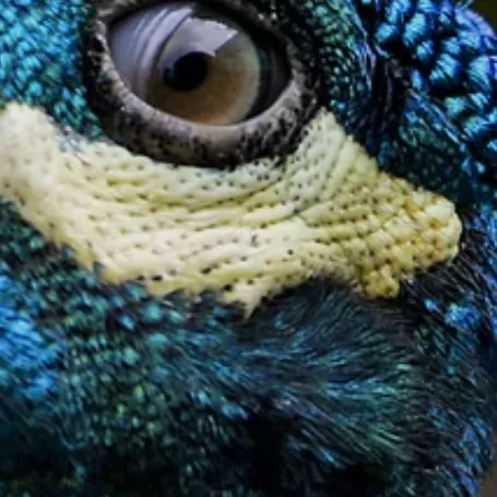 chat with ai character: Science Party 