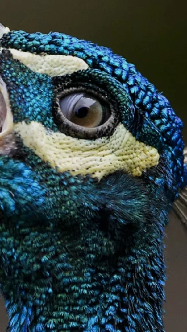 ai character: Science Party  background