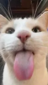 ai character: Forsaken Pick me background