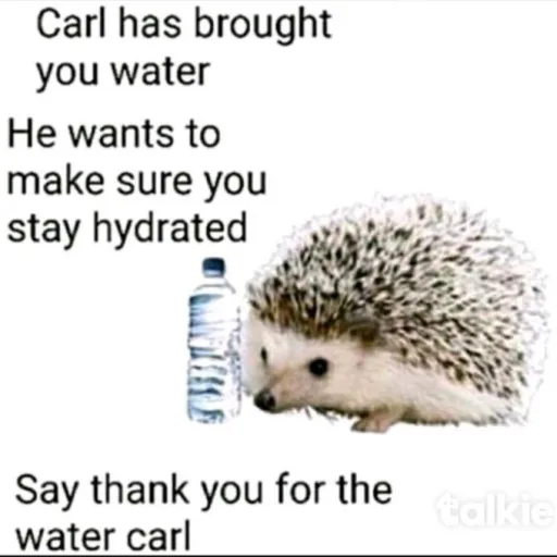 creator thamks carl's avatar