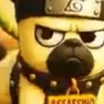 chat with ai character: DOG  ☕️ ASSASINO