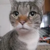 creator Talkior-5isGgQQy's avatar