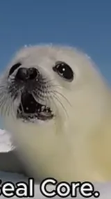 ai character: Discord call! (OC) background