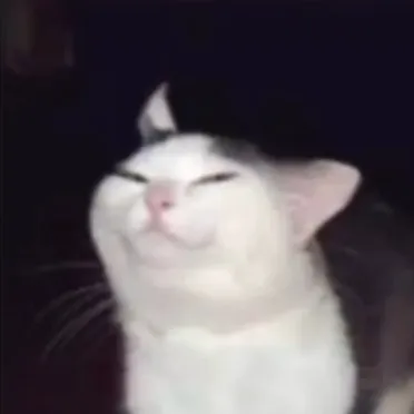 creator chicken_nuggets😋😋😋's avatar