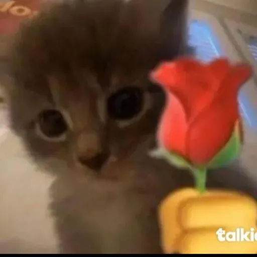 creator el Michi Otaku's avatar