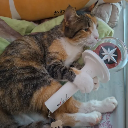 creator CHANINOU's avatar