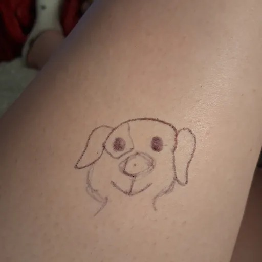 creator I'mtoolazy_Toopost's avatar