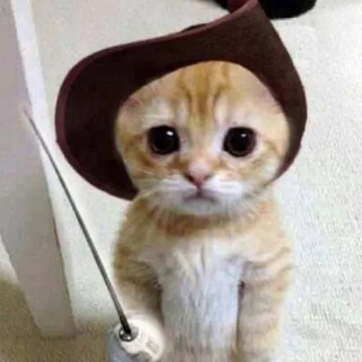 creator Fab18362xd's avatar