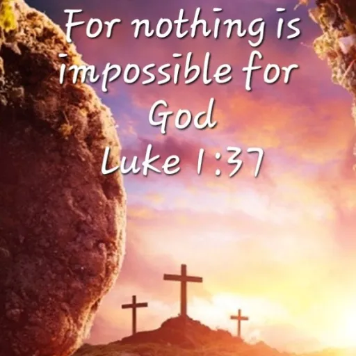 creator Laniah Lyons's avatar