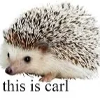 chat with ai character: Carl